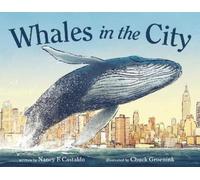 Nancy F Castaldo Whales in the City (Copertina rigida)