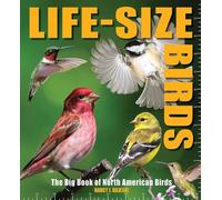 Nancy J Hajeski Life-Size Birds (Copertina rigida)