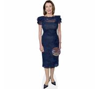Nancy Pelosi (Blue Dress) mini formato