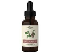 Nanga Alchornea Cordifolia Estratto di erbe 1:1 per uso esterno - 50 ml