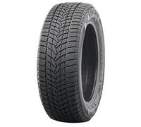 Nankang Ice Activa 2 225/50R18 99T XL