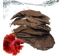 Nankoyal Terminalia Catappa Leaf - accessorio naturale sicuro per piante, realistiche foglie di catappa, per gamberetti, rane guppy per interni ed esterni