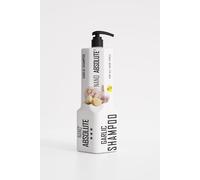 Nano Absolute Garlic Shampoo 1L con pompa - Shampoo anti perdita di capelli con estratto di aglio - contro la perdita di capelli e la rottura dei capelli - Hair Growth & Hair Repair - per capelli