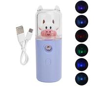 Nano Facial Mister Spray Facciale Nebulizzatore Viso Mini USB Umidificatore Portatile per SPA Pratico