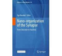 Nano-organization of the Synapse: From Structure to Function