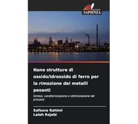 Nano strutture di ossido/idrossido di ferro per la rimozione dei metalli pesanti: Sintesi, caratterizzazione e ottimizzazione dei processi