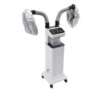 Nano-vaporizzatore, Multifunzionale Macchina per tingere i capelli per la casa Parrucchieri Saloni di bellezza, Cottura olio/Tintura dei capelli/Condizionamento/Camicie/Stile/Freddo Nebbia/Ozono