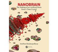 Nanobrain: The Making of an Artificial Brain from a Time Crystal