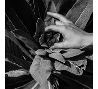 Nanook of the North - Heide