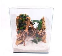 Nanotank 30 Acquario Contenitori Copertura Base Glasbecken Cubo Acqua Dolce