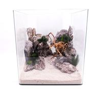 Nanotank 60 Acquario Copertura Base Vetro Cubo Acqua Dolce