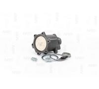 NAP carparts CAK10192 Catalizzatore