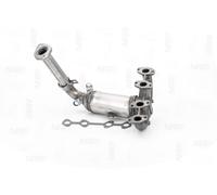 NAP carparts CAK10213 Catalizzatore