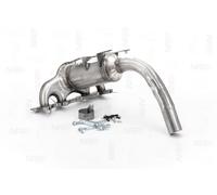 NAP carparts CAK10229 Catalizzatore