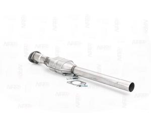 NAP carparts CAK10621 Catalizzatore