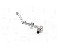 NAP carparts CAK11126 Catalizzatore