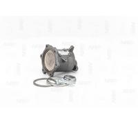 NAP carparts CAK11301 Catalizzatore