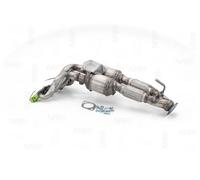 NAP carparts CAK11303 Catalizzatore