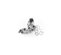 NAP carparts CAK11619 Catalizzatore