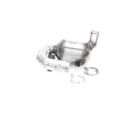 NAP carparts CAK11631 Catalizzatore