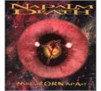 Inside the Torn Apart