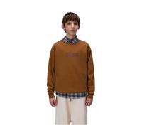 Napapijri New Box Logo Crew Sweatshirt Marrone 6 Years Ragazzo