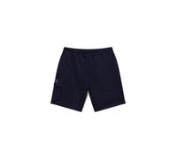 NAPAPIJRI Pantaloni 'N-BOX LOGO CARGO' blu / grigio chiaro Uomo NAPAPIJRI 35-36