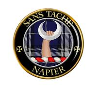Napier Clan Scozzese Spilla