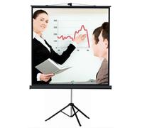 Napofix T11-2480 schermo per proiettore 3,43 m (135") 1:1