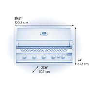 Napoleon Barbecue da incasso 700 Series 38