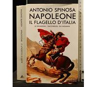 Napoleone. Il flagello d'Italia. Le invasioni, i saccheggi, gli inganni