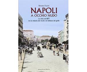 Napoli a occhio nudo. La città nel 1877 tra la miseria dei vicoli e le bellezze del golfo