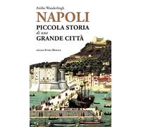 Napoli. Piccola storia di una grande città
