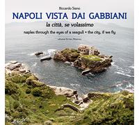 Napoli Vista dai Gabbiani. La Città se Volassimo. Naples Through the Eyes of a S