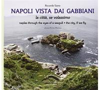 Napoli vista dai gabbiani. La città se volassimo. Ediz. bilingue