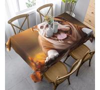 Nappe Funny English Bulldog Print Tablecloth Rectangle Nappes Anti Tache Nappes pour Pique-Niques Dîners Jardin 137X183CM