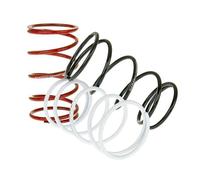 NARAKU NK900.51 TRQ SPRING SET SPORT-3PCS ITALJET VELOCIFERO 50 1994
