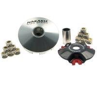 Naraku Racing - Variomatik - Rivero SP-2 2 tempi