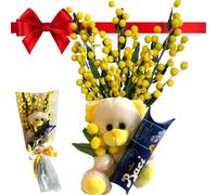 NARAMAKI Idea Regalo Festa della Mamma 2025 - Peluche Mimosa 16cm + Baci Perugina 37,5gr + Rami Mimose - Regalo per Lei (PELUCHE + MIMOSE)