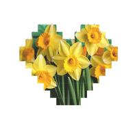 Narcisi gialli Fiori Blocco di mattoni Puzzle a forma di cuore, immagine personalizzata Puzzle foto puzzle per adulti Micro blocchi di costruzione 3D per la decorazione della casa Set di mattoni