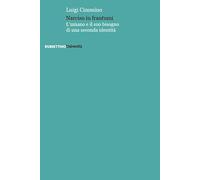 Narciso in frantumi. L'umano e il suo bisogno di una seconda identità