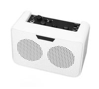 Naroote Amplificatore per Chitarra Elettrica Amplificatore per Chitarra da 10 W, con Effetto Delay con Jack per Cuffie da 3,5 Mm Ingresso AUX e Microfono, Ideale per Esercitazioni e Performance Indoor