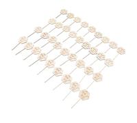 Naroote Guardami Coltivare Etichette per Piante Grasse 36 Pezzi Etichette in Legno Ecologiche per la Decorazione di Piante in Giardini e Vasi