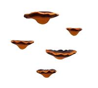 Naroote Mensole da Parete a Forma di Fungo Set Realistico in Resina da 5 Pezzi Mini Reishi da Appendere per L'arredamento del Giardino