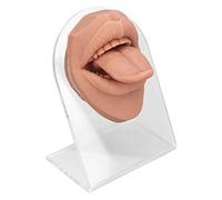 Naroote Modello di Lingua in Silicone Modello di Visualizzazione della Lingua con Supporto Acrilico Realistico per Studio di Fisiologia Infermieristica Materiale Colore Dimensioni Quantità (Biondo
