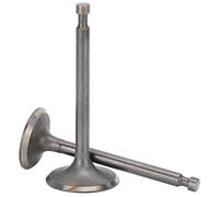 Naroote Set Valvole per Generatore Motore a Benzina 190F, Valvole di Aspirazione e Scarico Durevoli per Uso Agricolo, 100% Nuovo, Materiale in Ferro, Include 1 Valvola di Aspirazione e 1 Valvola di