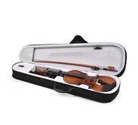 Naroote Violino, Violino per Bambini, Violino Elettrico 4/4 con Delicata Tavola in Abete Rosso per Principianti, Studenti, Studenti e Appassionati di Musica