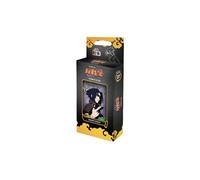 Naruto Mythos TCG - Teamset - Sasuke - ENG (prodotto in allocazione) Carte
