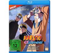 Naruto Shippuden - Staffel 25 (Folgen 700-713)