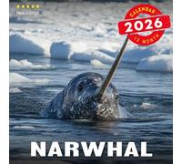 Narwhal Calendar 2026: Twelve months of mystical Arctic swimmers